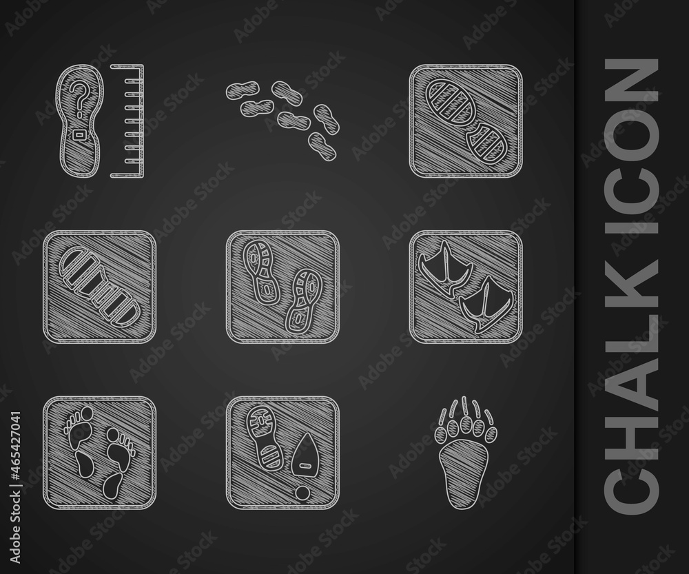 Set Human footprints shoes, Bear paw, Seagull, and Square measure size icon. Vector