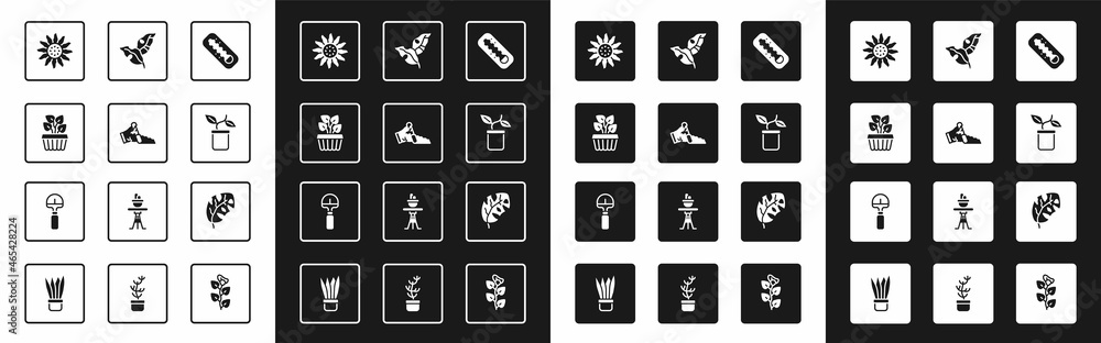 Set Meteorology thermometer, Broken pot, Indoor plant ivy in a, Flower, Plant, Tropical leaves, and 