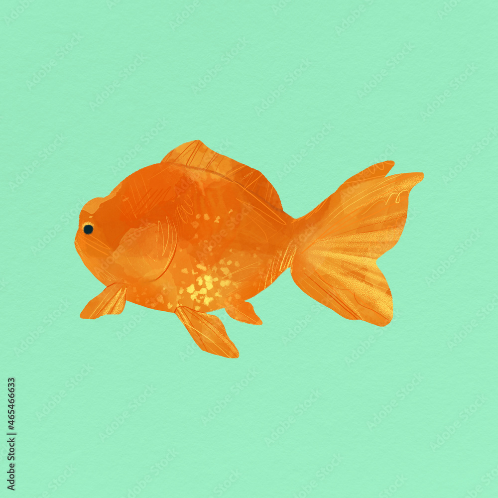 Goldfish on a green background vector