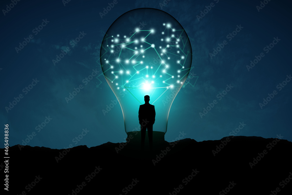 Back view of backlit man looking at creative glowing lamp with polygonal connections on night landsc