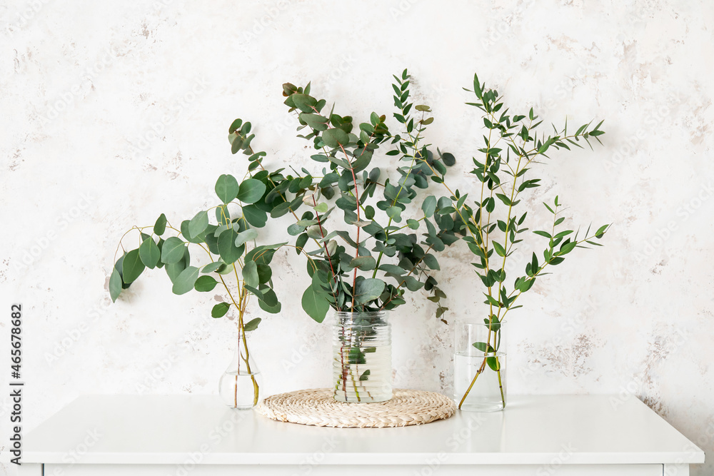 Eucalyptus branches in vases on table near light wall