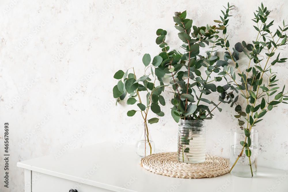 Eucalyptus branches in vases on table near light wall