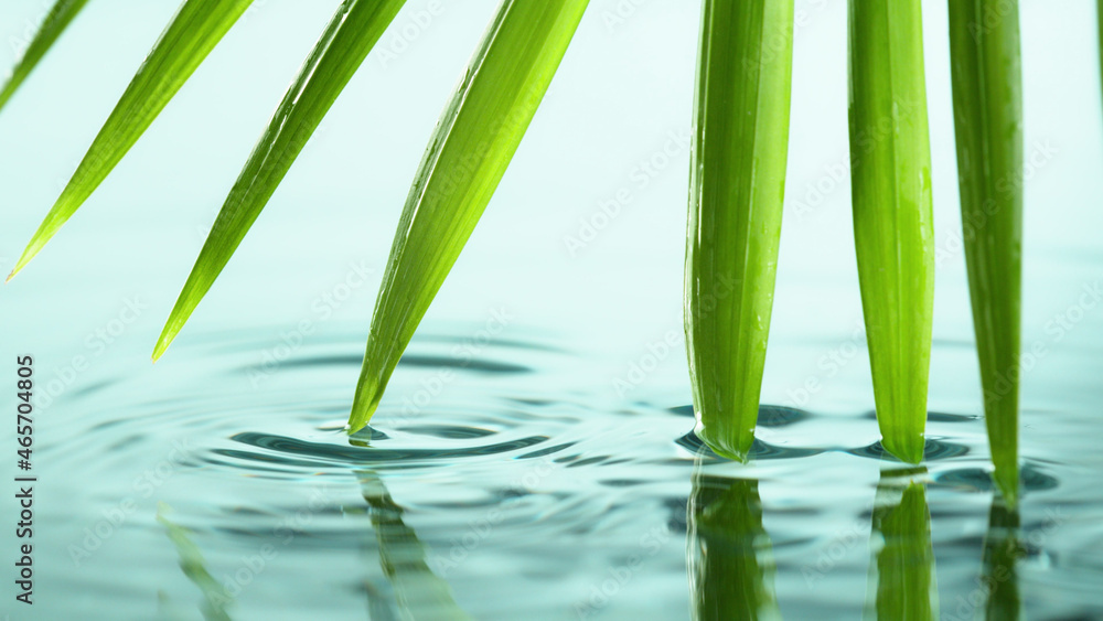 Spa and wellness background with water and leaves