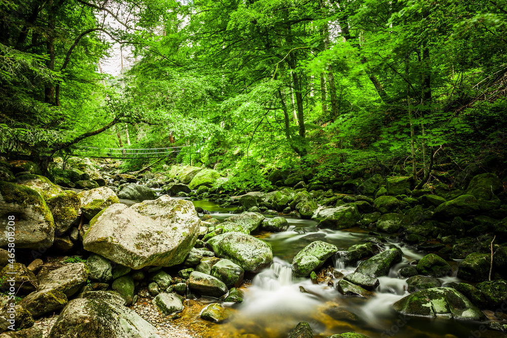 Hängebrücke an de Buchberger Leite im Bayrischen Wald