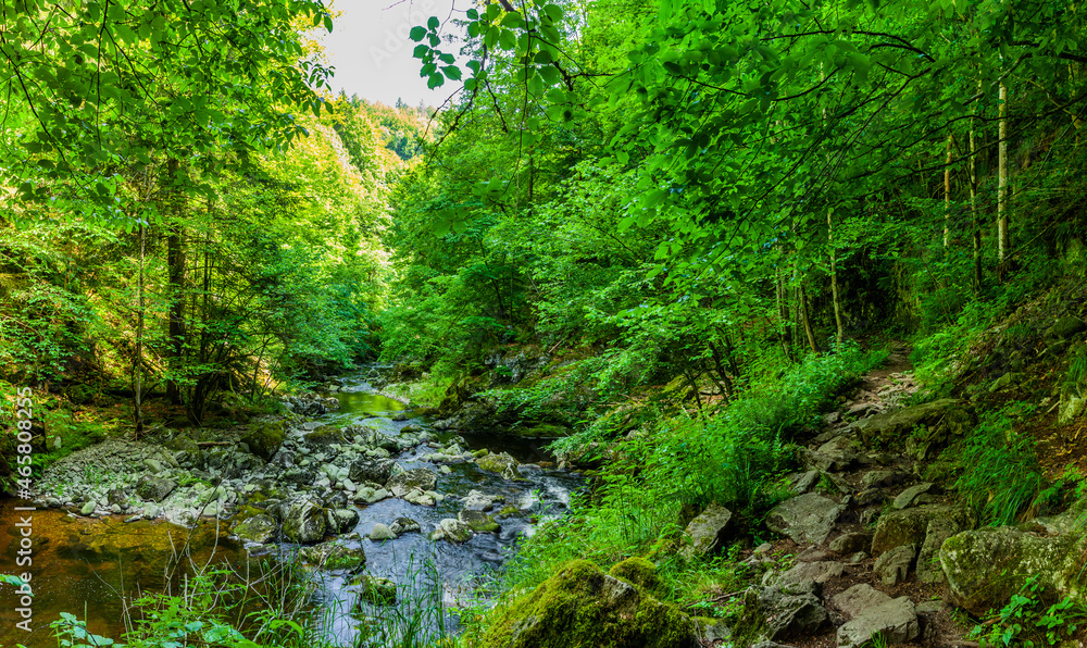 Wanderweg an der Buchberger Leite im Bayersichen Wald