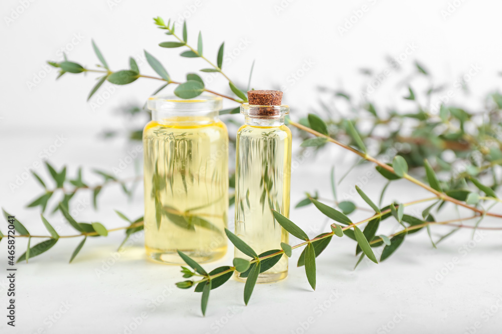 Bottles of eucalyptus oil on light background