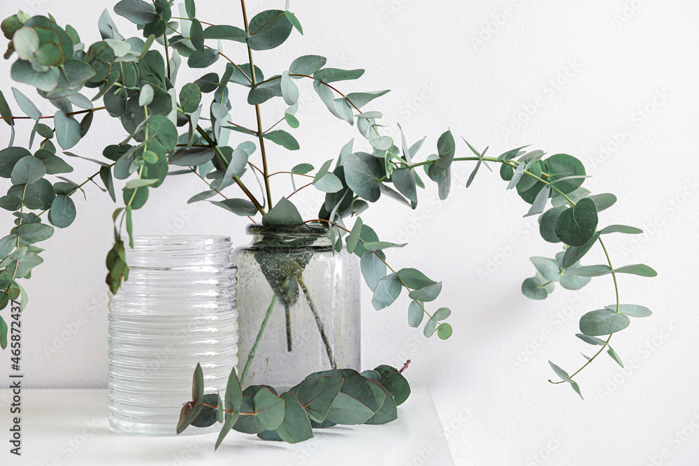 Vases with green eucalyptus branches on shelf near white wall