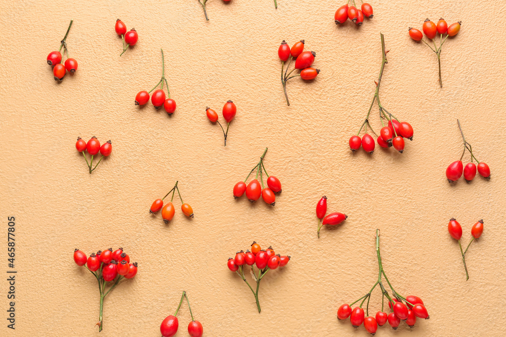 Composition with fresh rose hip berries on beige background