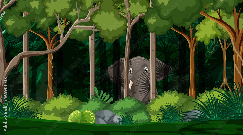 Wild animals in forest landscape background