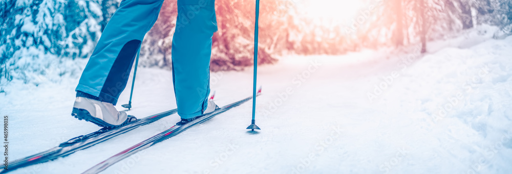 滑雪运动员在白雪皑皑的冬季森林里踩着滑雪板