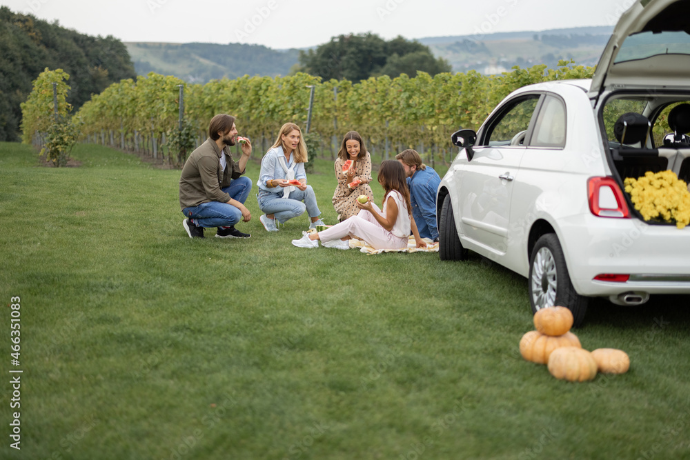 Pleased european friends having a picnic near vineyards in countryside. Sitting together near the ca