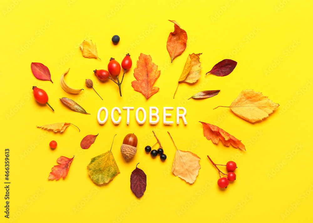 Autumn forest decor and word OCTOBER on color background