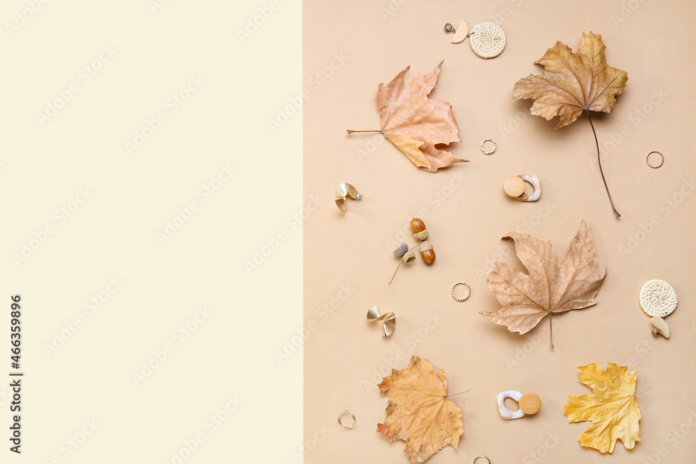 Stylish jewelry and dry leaves on color background