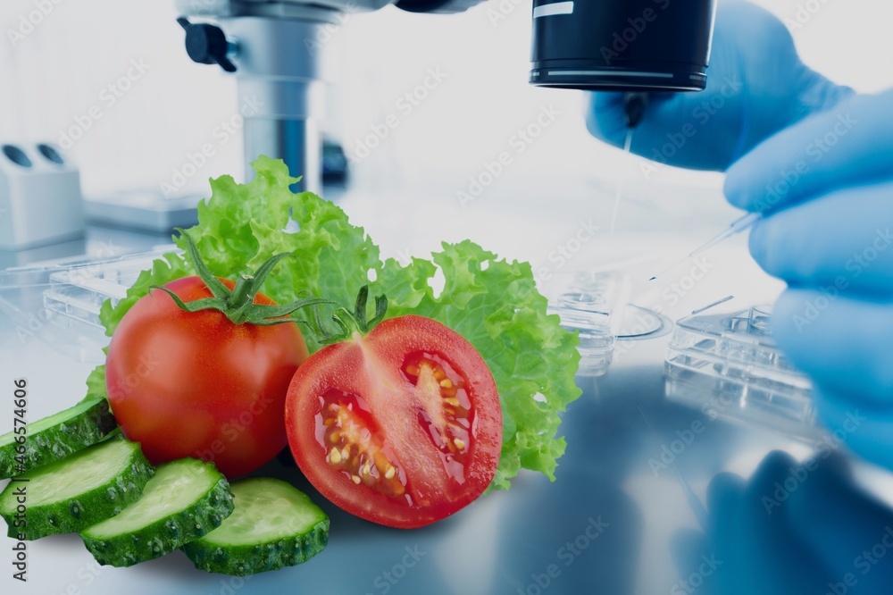 Scientist in Safety Glasses Analyzing a Tomato Through an Advanced Microscope.