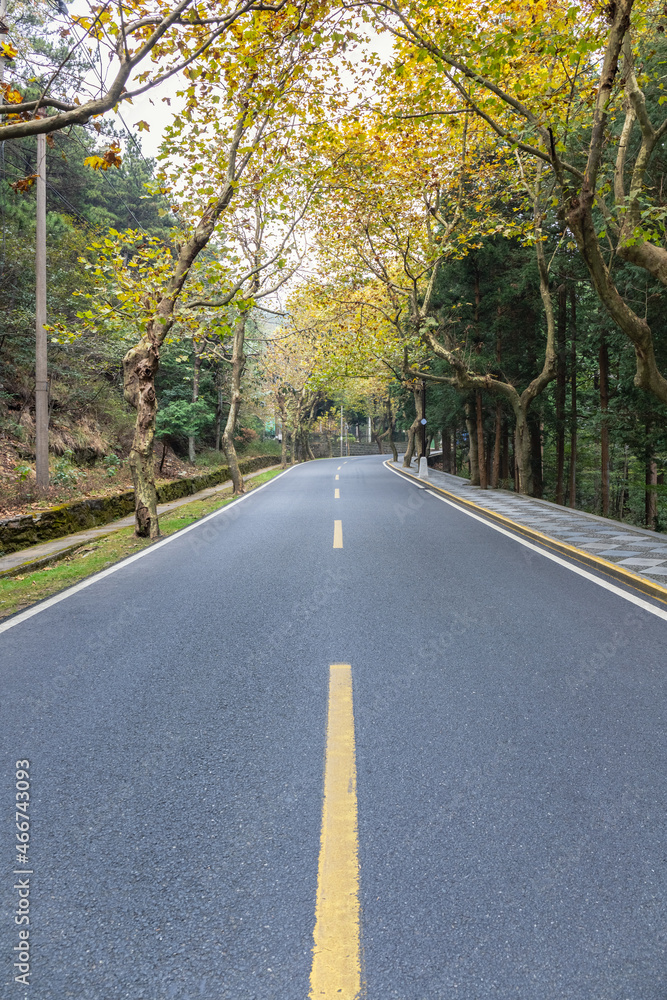 秋山柏油路