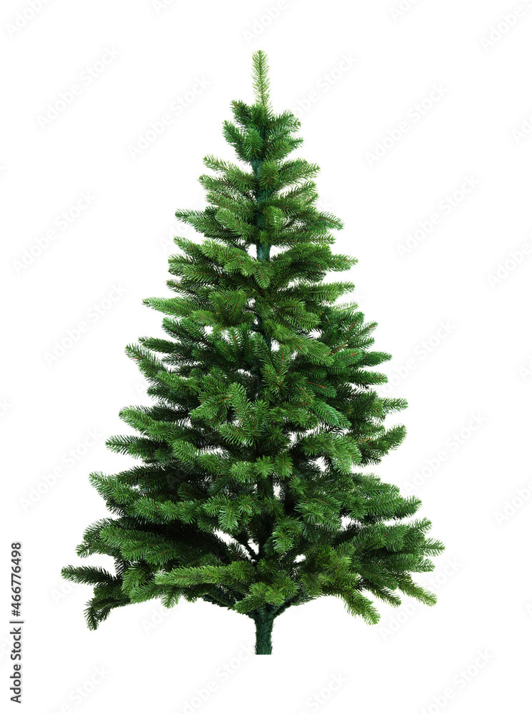 Christmas tree isolated on white