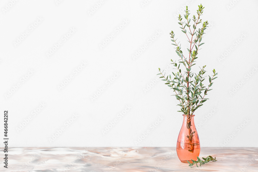 Stylish vase with green eucalyptus branches on table near light wall