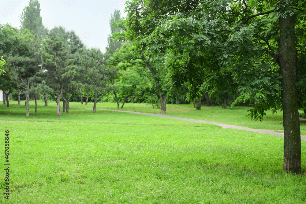 美丽城市公园全景