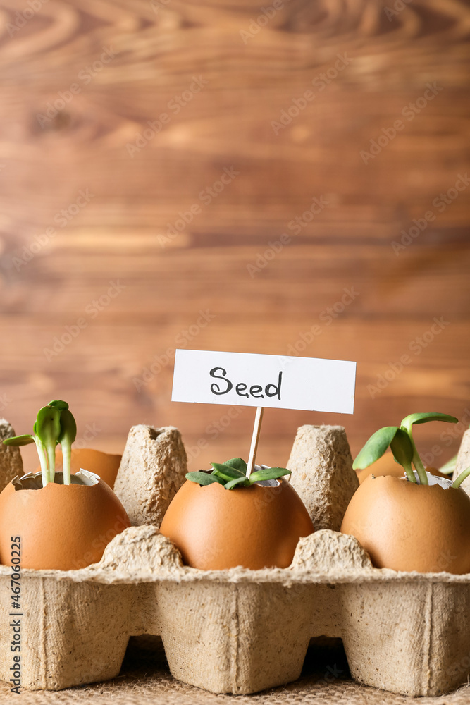 Tag with word SEED and young plants in eggshells on wooden background