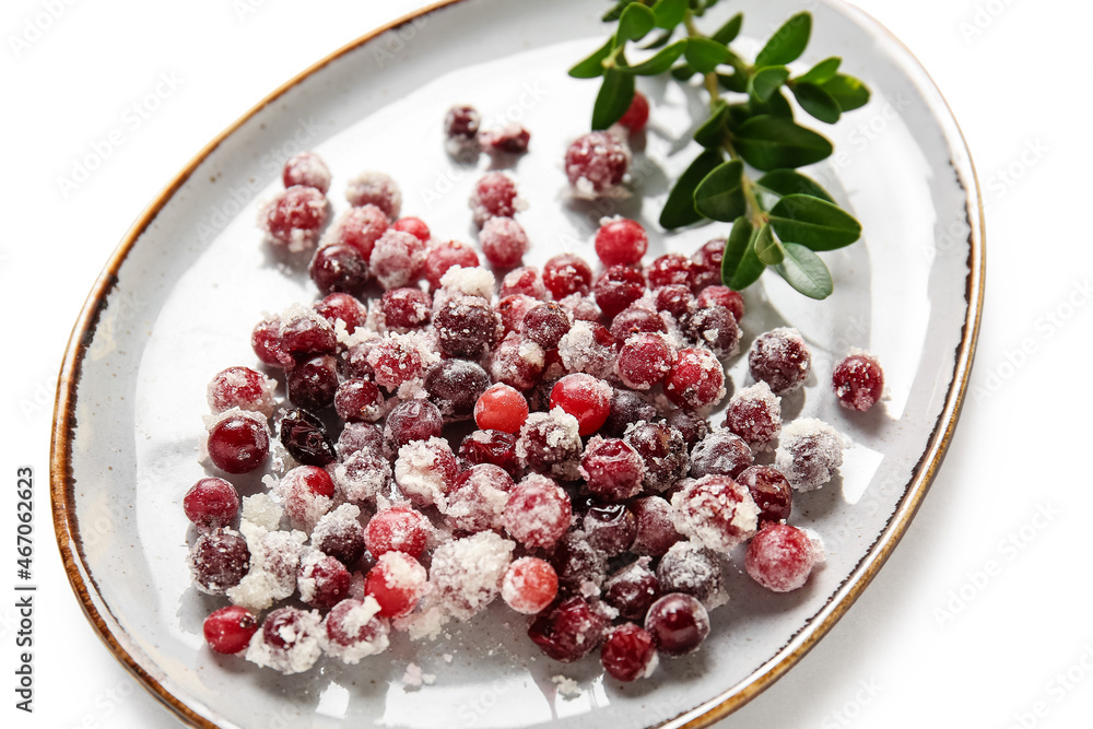 Plate with sugared cranberry on white background, closeup