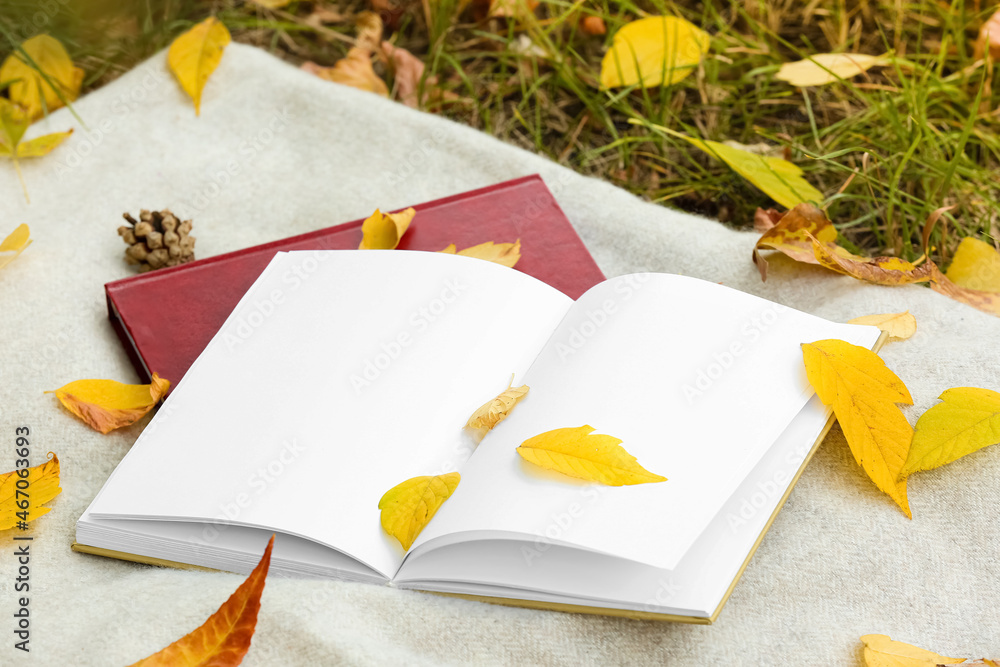 Books on warm plaid in autumn park