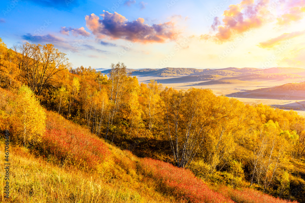 Colorful forest and mountain natural landscape in autumn.Beautiful autumn scenery in the Ulan Butong