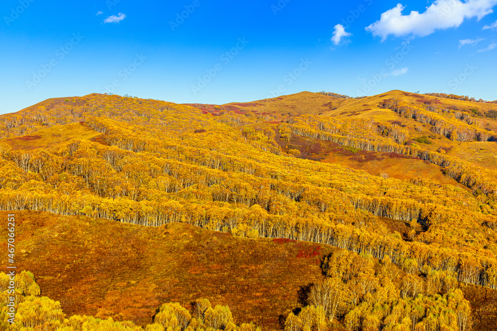 Beautiful mountain and forest natural landscape in autumn.Beautiful autumn scenery in the Wulan Buto