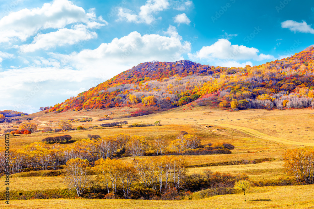 Colorful forest and mountain natural landscape in autumn.Beautiful autumn scenery in the Ulan Butong