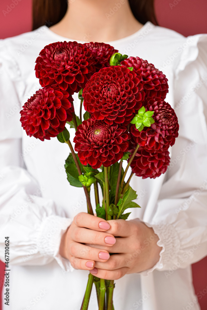 Woman holding bouquet of beautiful dahlias, closeup