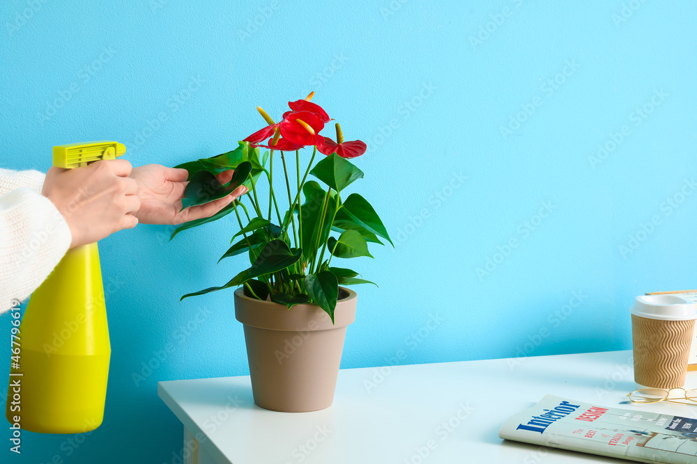 妇女在彩色墙附近的花托上喷水