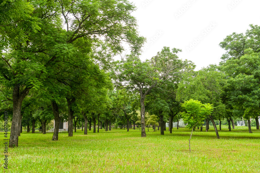 美丽城市公园全景