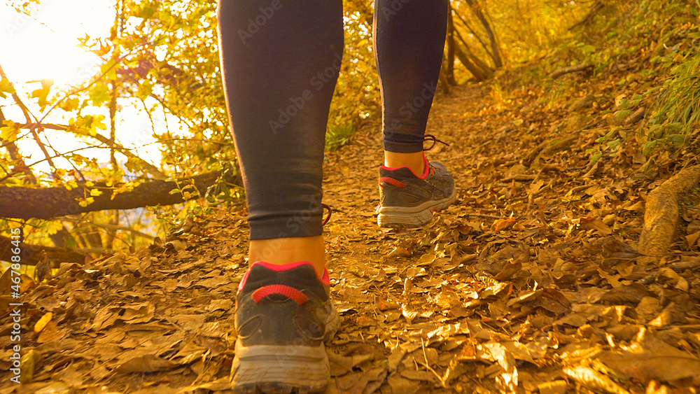 LOW ANGLE: Fit woman wearing black leggings hikes up an empty forest trail.