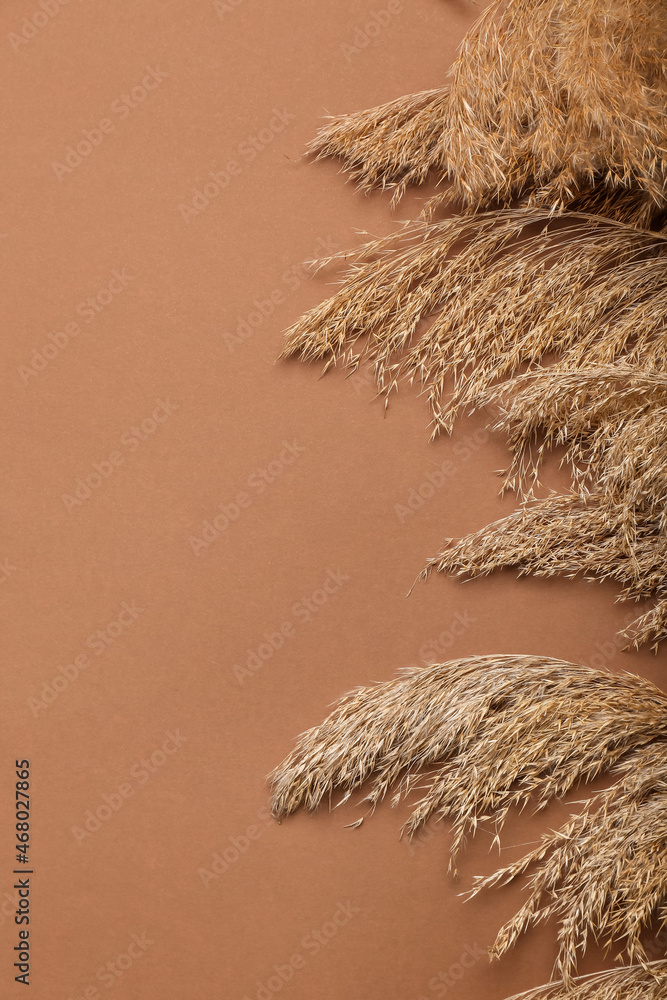 Common reeds on color background