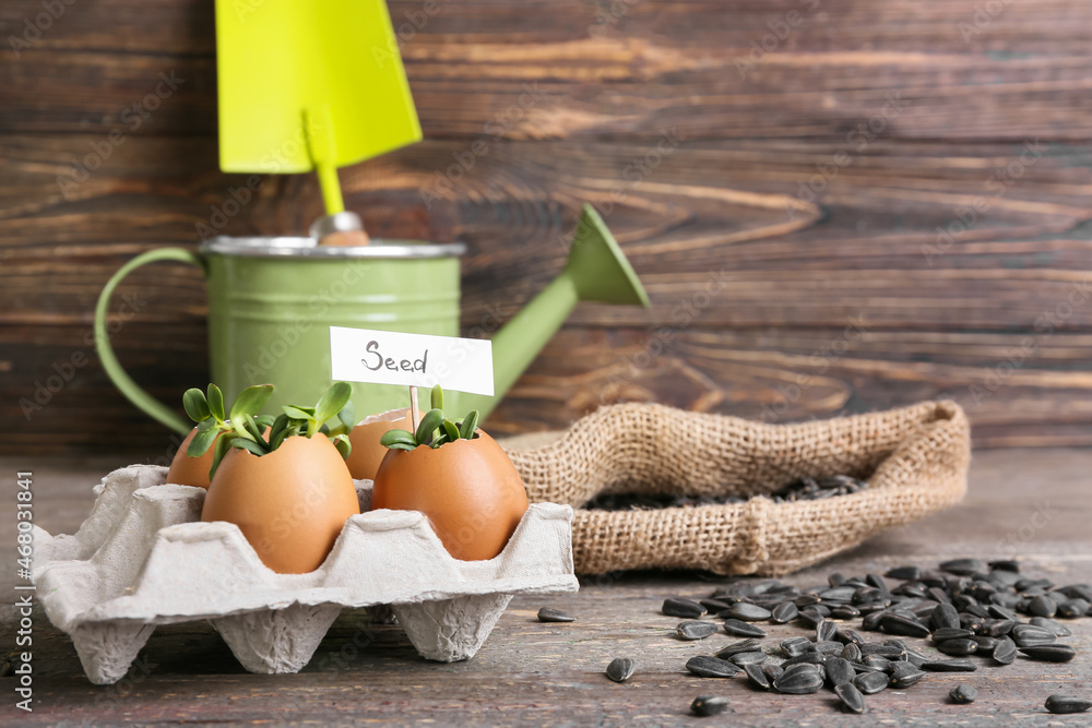 Tag with word SEED and young plants in eggshells on wooden background