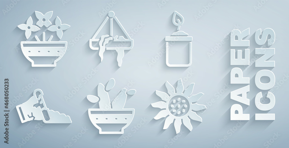 Set Cactus peyote in pot, Sprout bottle, Broken, Flower, Plant hanging and vase icon. Vector