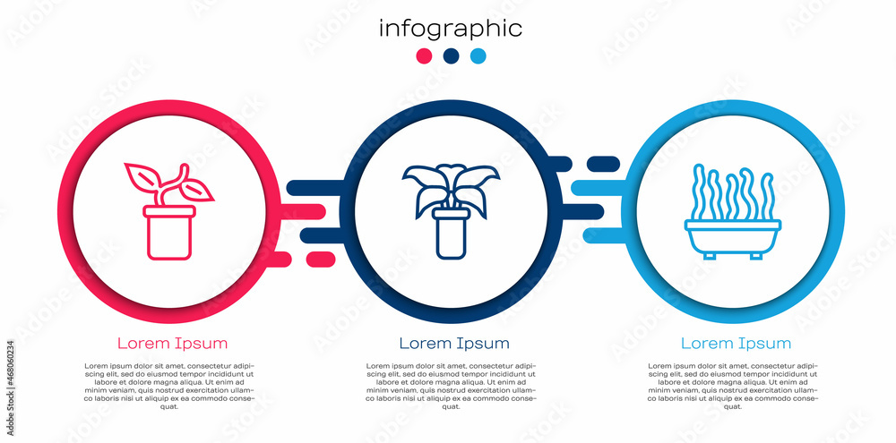 盆栽植物、异国热带植物和。商业信息图模板。矢量