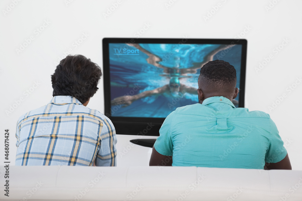 Rear view of two friends sitting at home together watching swimming competition on tv