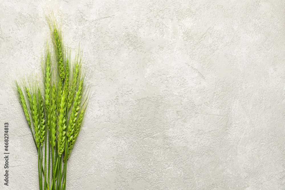 Green wheat spikelets on light background