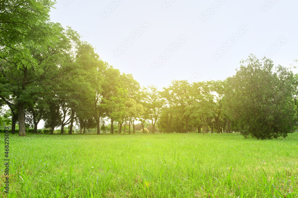 美丽城市公园全景