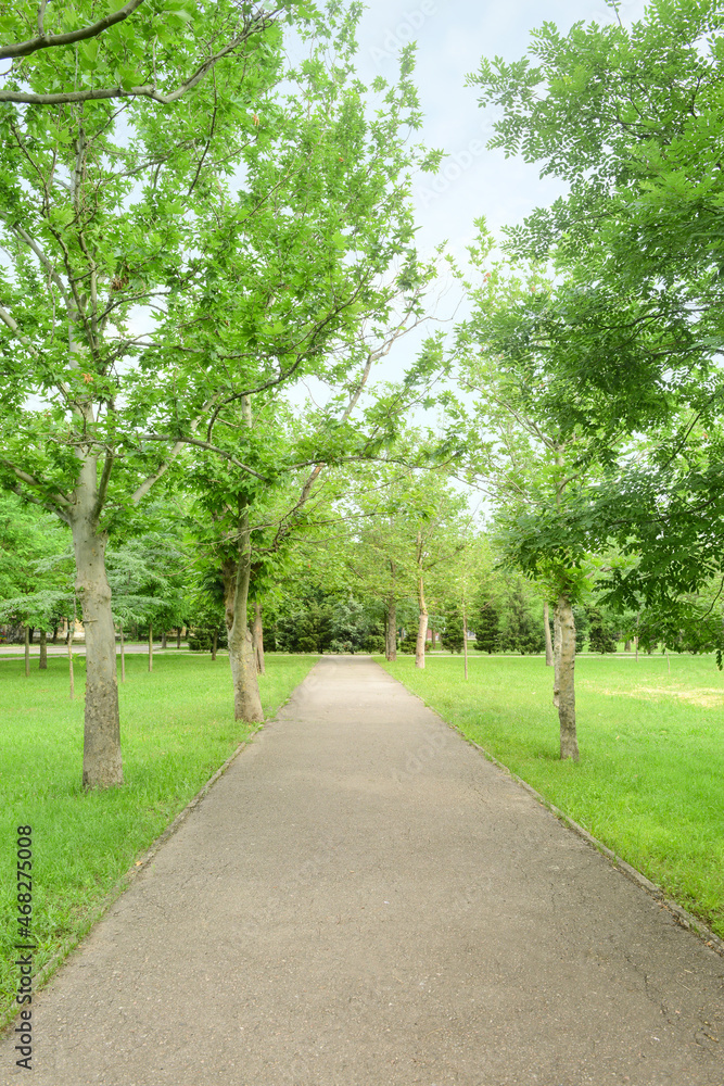 Alley in beautiful city park