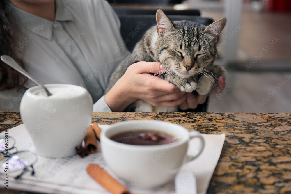 带着猫的女人在咖啡馆的桌子旁喝茶