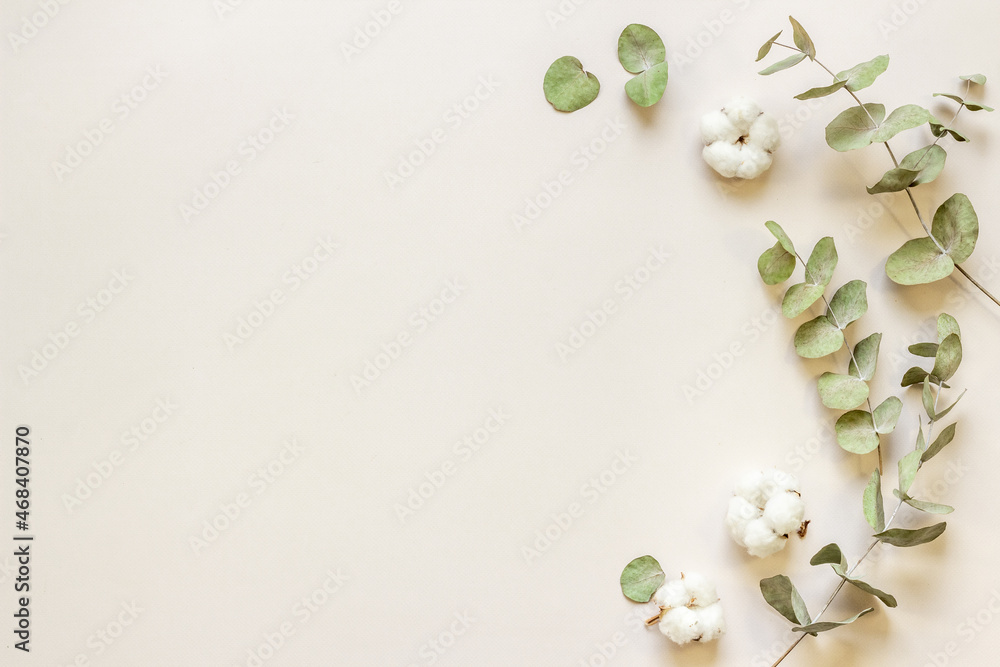 Layout floral pattern with eucalyptus branches and cotton flowers