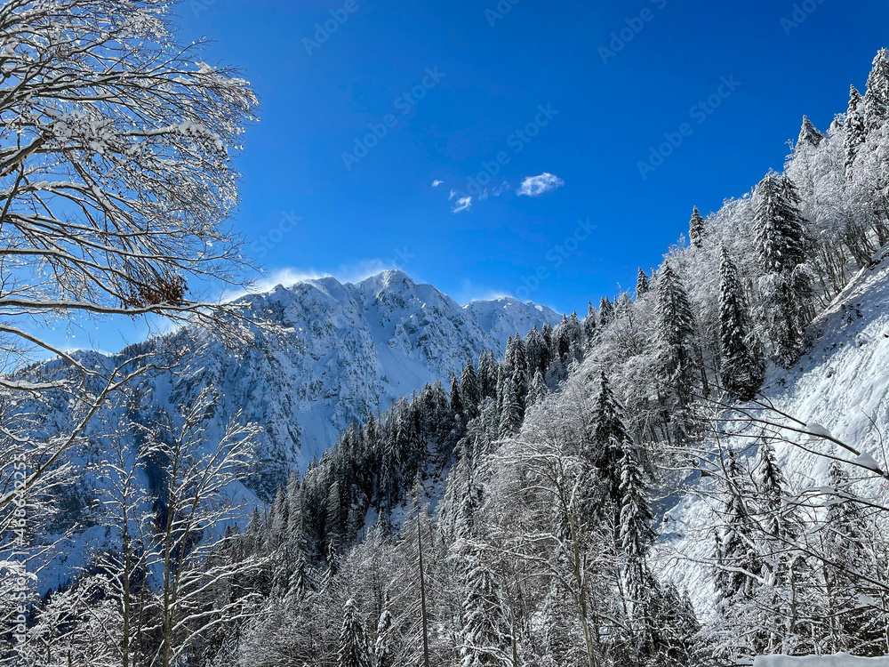 十二月的强风将朱利安阿尔卑斯山山顶上的新雪吹走