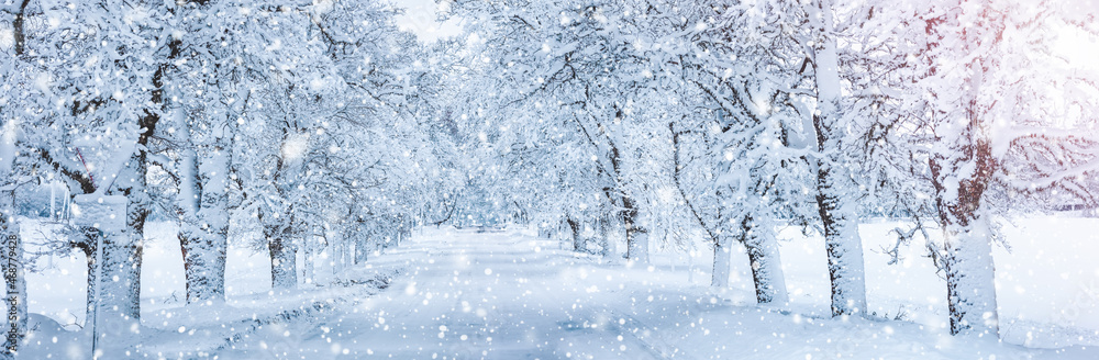 在下雪的早晨，道路被雪覆盖。