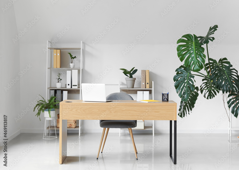 Interior of office with modern workplace, shelving unit and houseplants