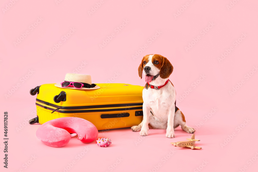 Cute Beagle dog with suitcase and travel things on pink background