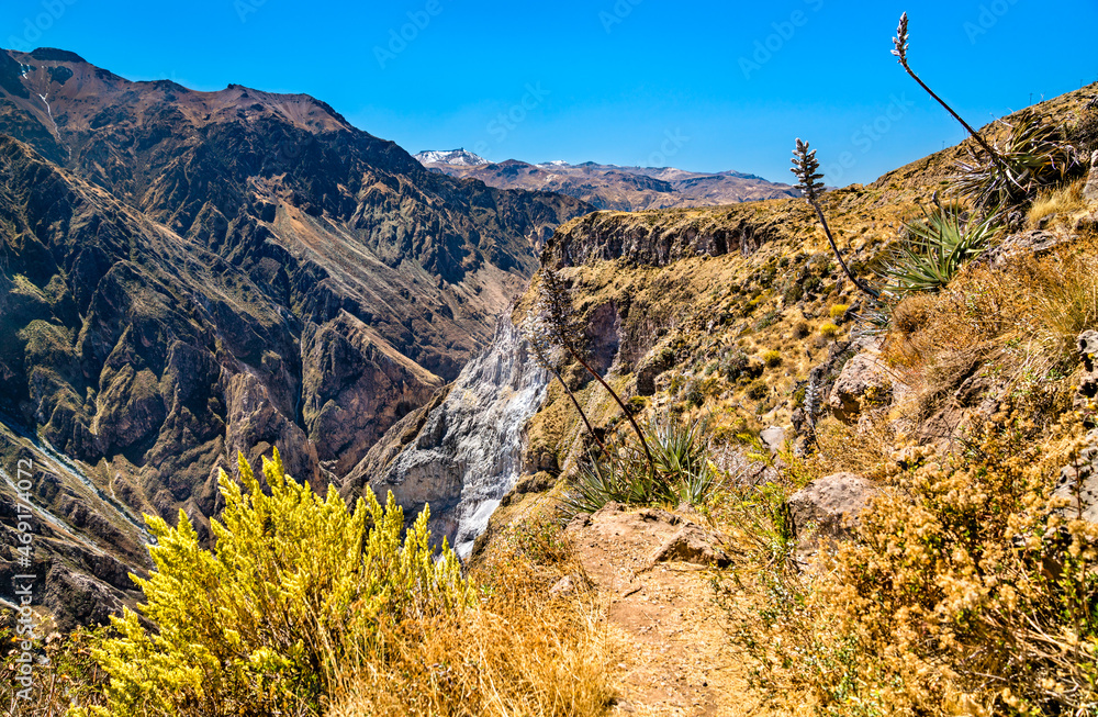 Scenery of the Colca Canyon in Peru, one of the deepest canyons in the world