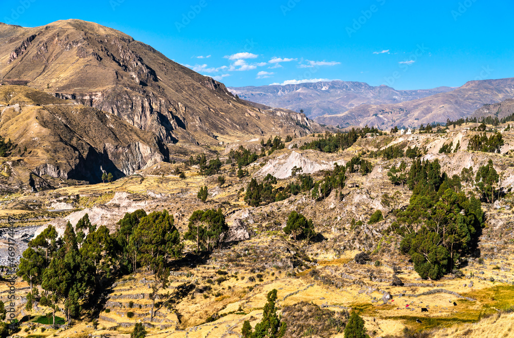 Scenery of the Colca Canyon in Peru, one of the deepest canyons in the world