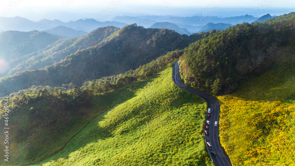 鸟瞰美丽的沥青山路，绿色的森林和黄色的花朵山路，