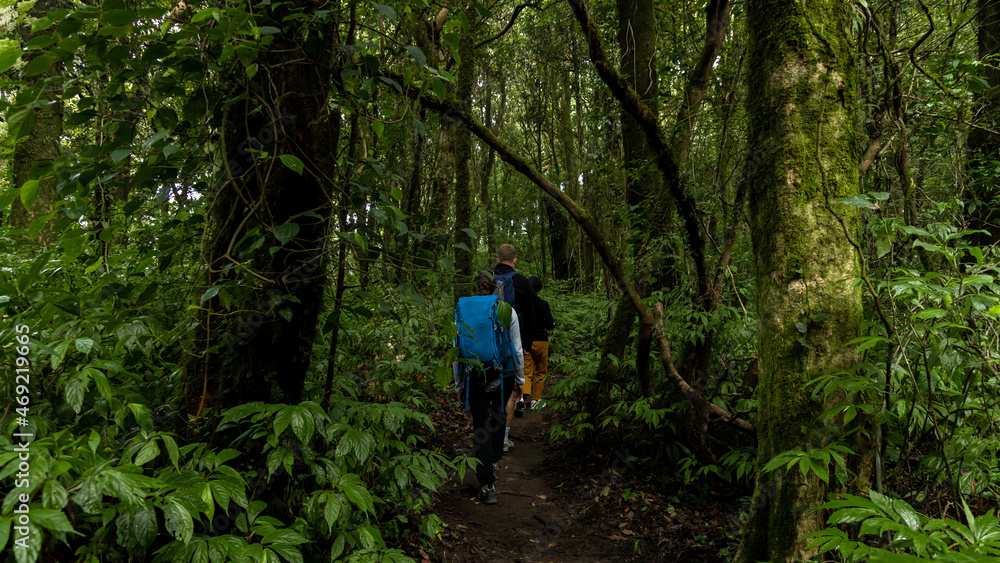 Nature trail people walking through the mountain trail in North of Thailand, Hiking on mountain natu